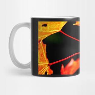 Burning Maple Mug